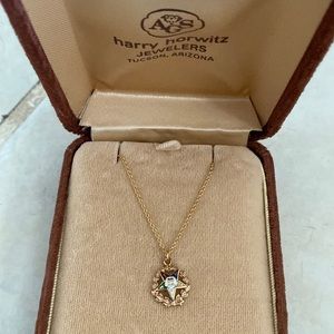 10kt eastern star charm on a 14kt 18”chain